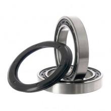 campagnolo-ultra-torque-record-bearings