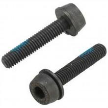 campagnolo-screws-for-rear-mounting-24-mm