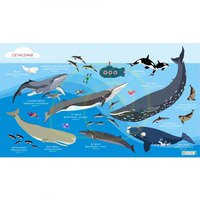Oceanarium Cetaceans L Handtuch