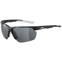 alpina-defey-hr-polarized-sunglasses