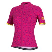 bicycle-line-maillot-manche-courte-padova