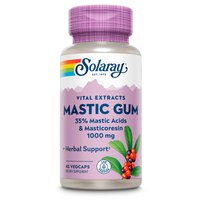 solaray-mastic-gum-500mgr-45-unidades