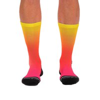 zoot-team-fade-socks