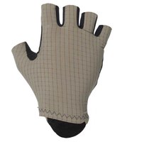 q36.5-pinstripe-summer-short-gloves