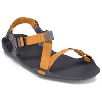xero-shoes-z-trek-ii-sandals
