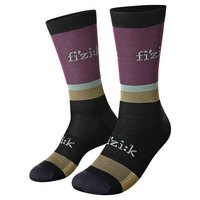 fizik-team-edition-socks