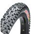 Maxxis Ignitor Exo Protection 29´´ Tubeless MTB Tyre