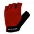MASSI Basic Gloves