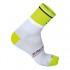Sportful Gruppetto Pro 12 Socks