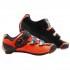 MASSI Arion Dual Road Shoes