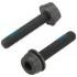 Campagnolo Screws For Rear Mounting 24 mm
