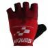 Santini Tour De Suisse 2020 Handschoenen