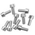 MSC Tornillo Tiso Bolts M6X20 Argent Anodised 10 Unidades