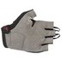Alpinestars Ridge Plus Gloves