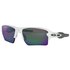 Oakley Flak 2.0 XL Prizm Sonnenbrille