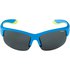 Alpina Gafas De Sol Polarizadas Espejadas Flexxy Juvenil HR