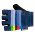 Santini UCI Rainbow Γάντια