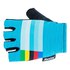 Santini UCI Rainbow Handschoenen