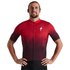 Specialized Maillot Manga Corta RBX Comp