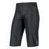 GORE® Wear Pantalones Cortos Alp-X 3.0 Goretex Active Shell