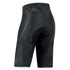 GORE® Wear Alp-X 3.0 Goretex Active Shell Shorts