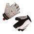 Endura Fs260 Pro Aerogel Gloves